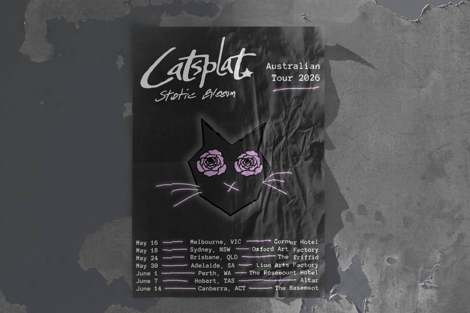 Catsplat 2026 Australian tour poster 