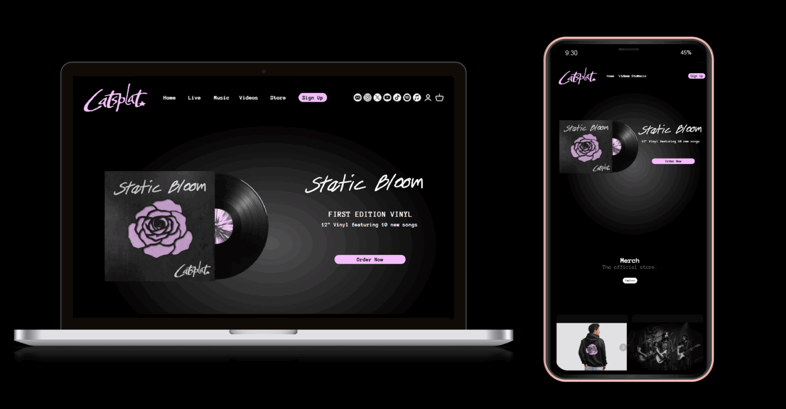 Catsplat website design and mobile website design