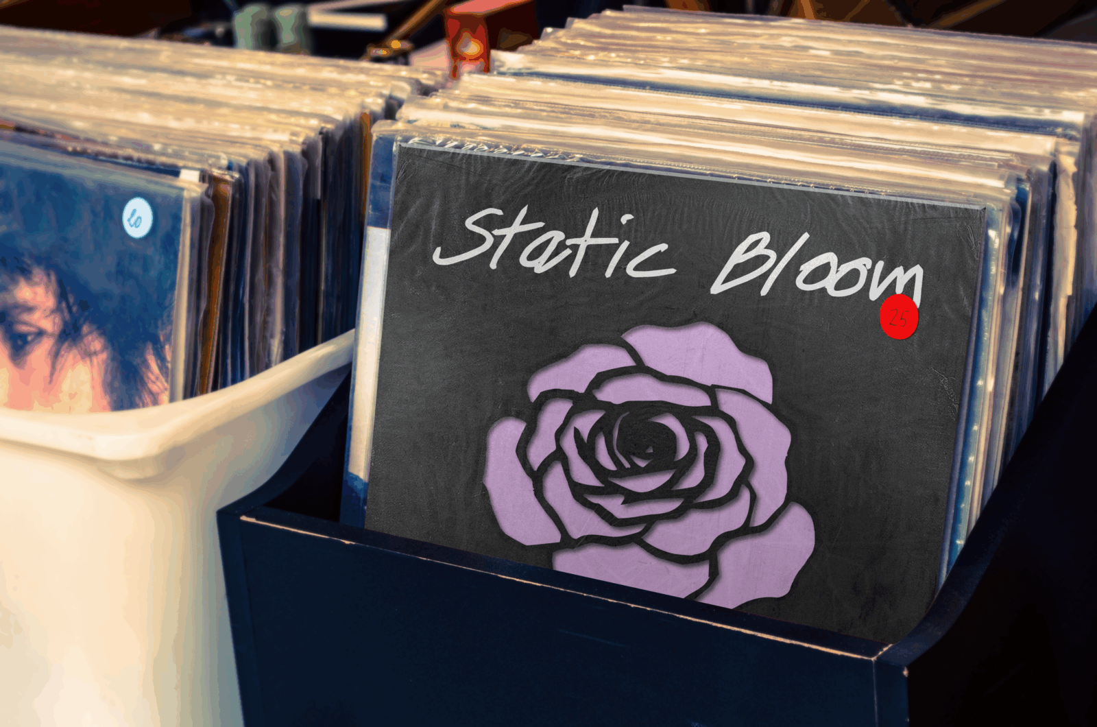 Catsplat vinyl in a record store