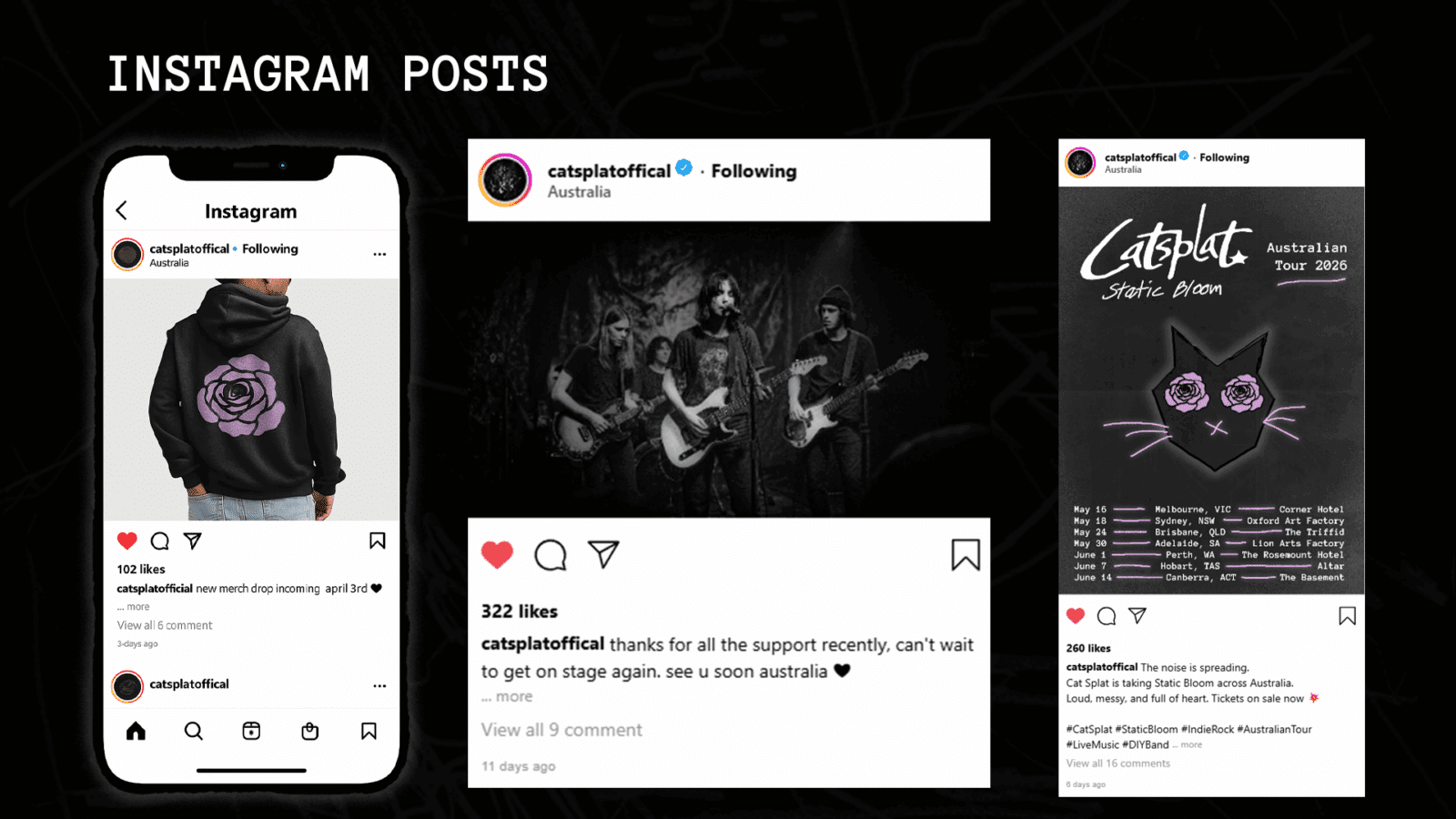 Catsplat instagram posts