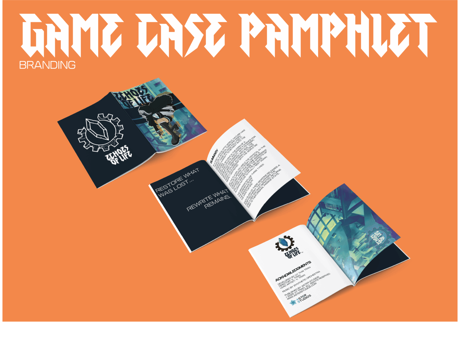 The game case pamphlet.