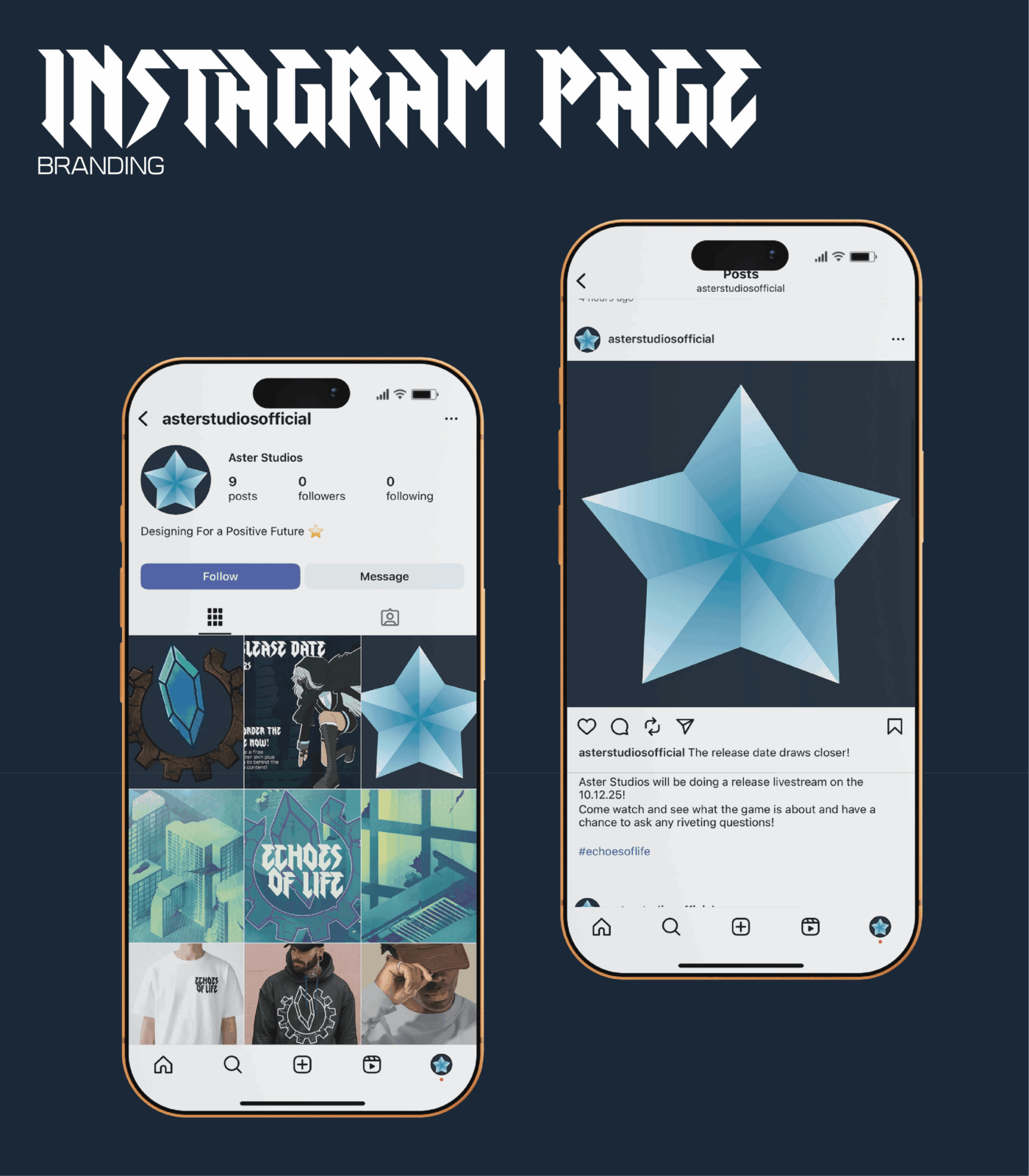 Instagram page displayed on a phone screen.